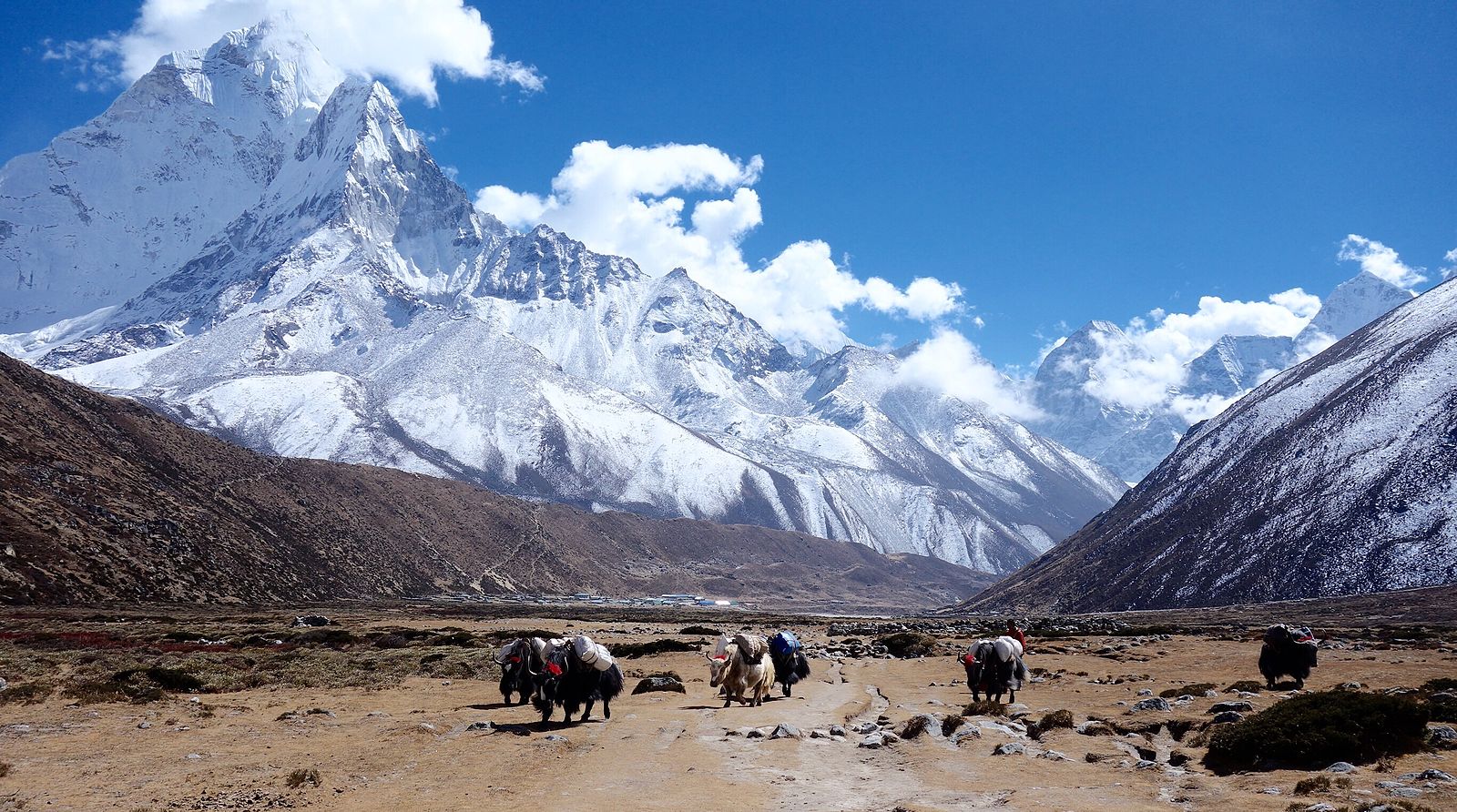 Everest Region Trekking 