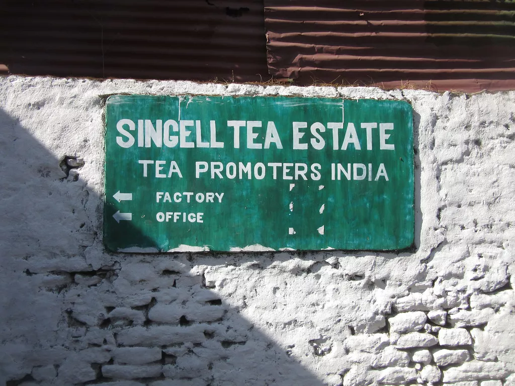 Singell Tea Estate