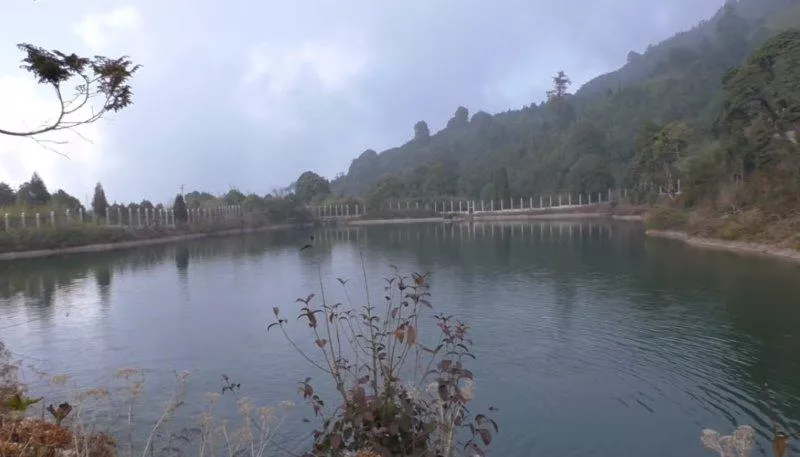 Visit the Senchel Lake in the oldest wildlife sanctuaries of Darjeeling hills