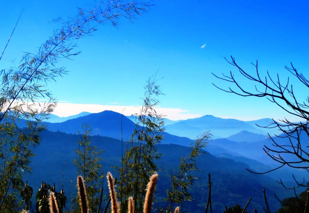 View from national park in Sikkim