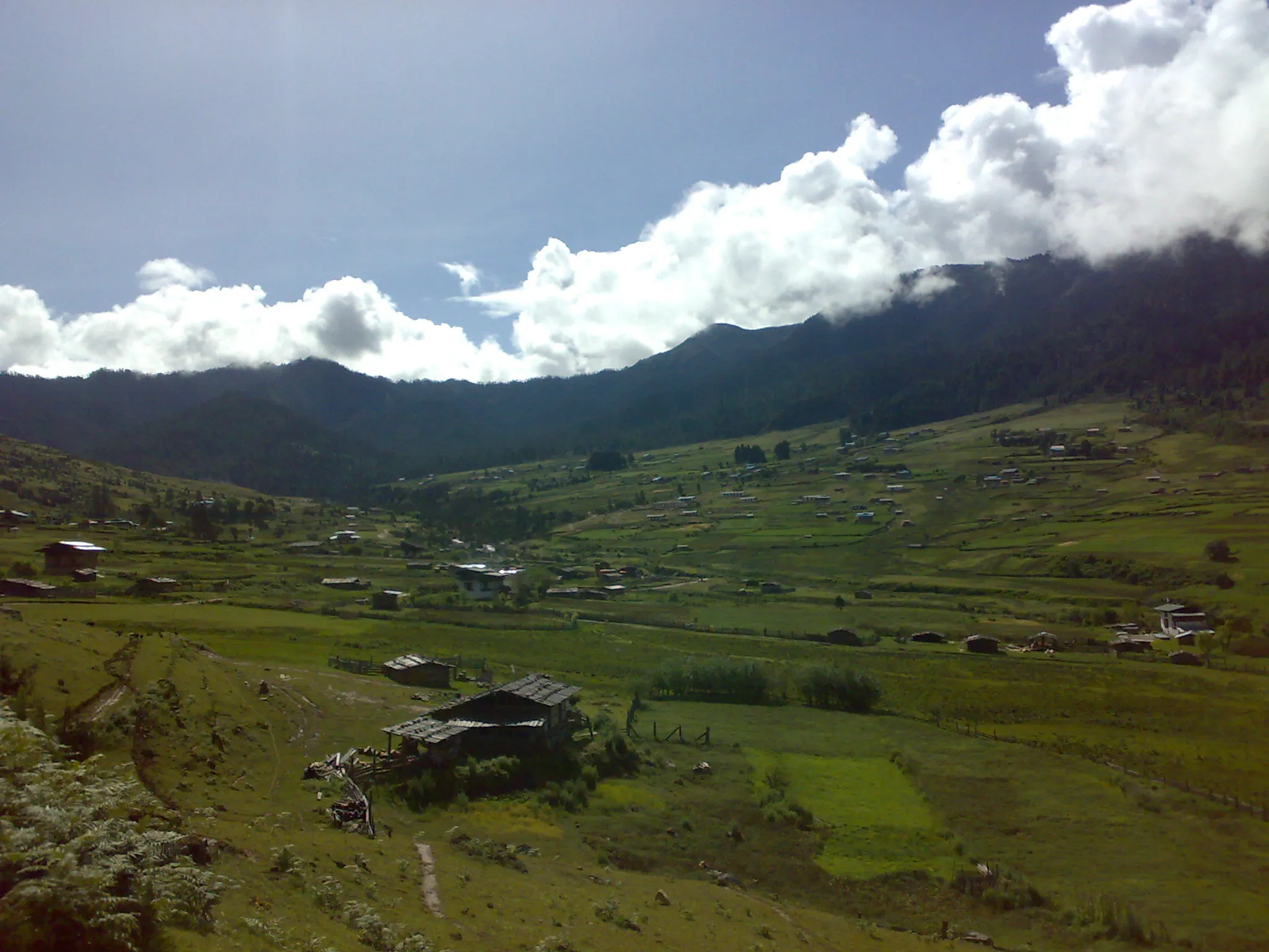 bhutan phobjika