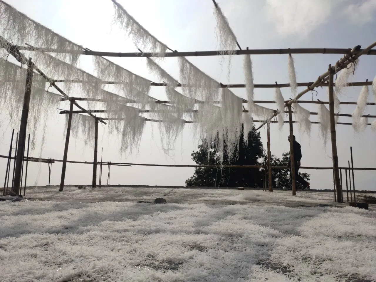 TourGenie_kalimpong_Phing drying