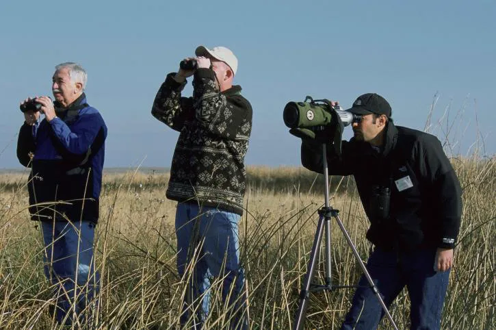 bird watching tips