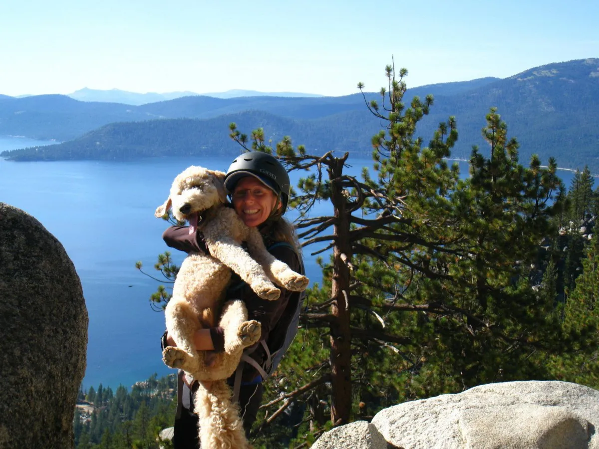 Dog Travel Tips for Dog Owners