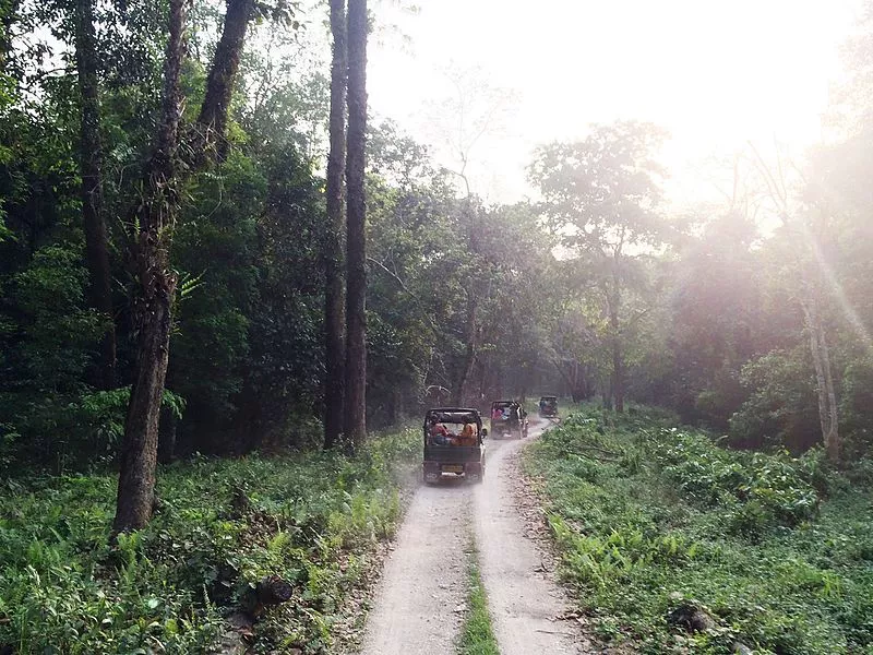 The Buxa Tiger Reserve the second highest tiger reserve in West Bengal