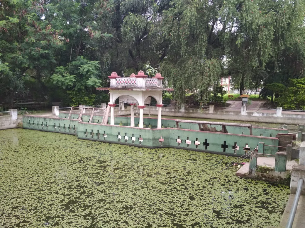 Lotus Pond at Shree Govindjee Tem