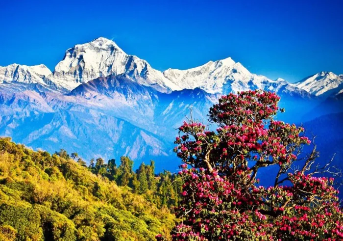 Best time to visit Nepal