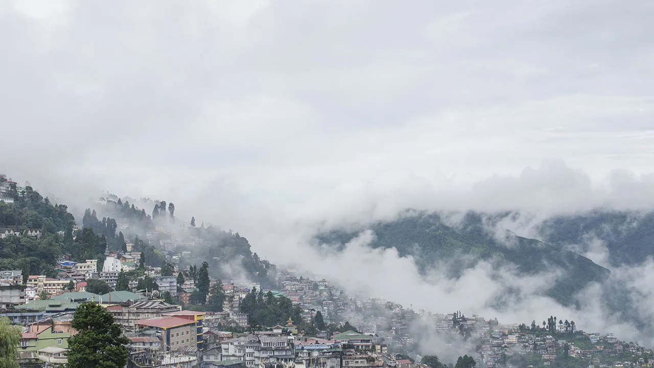 Darjeeling Banner Image