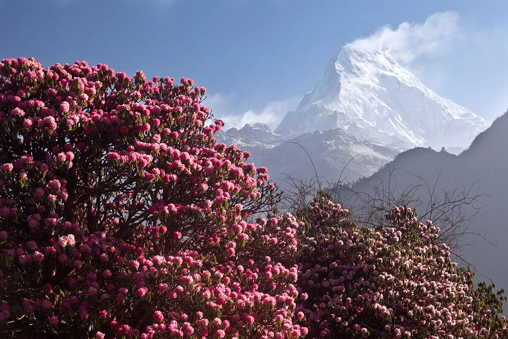 View from Sikkim