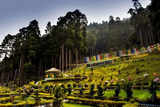Beautiful places to visit in North Bengal