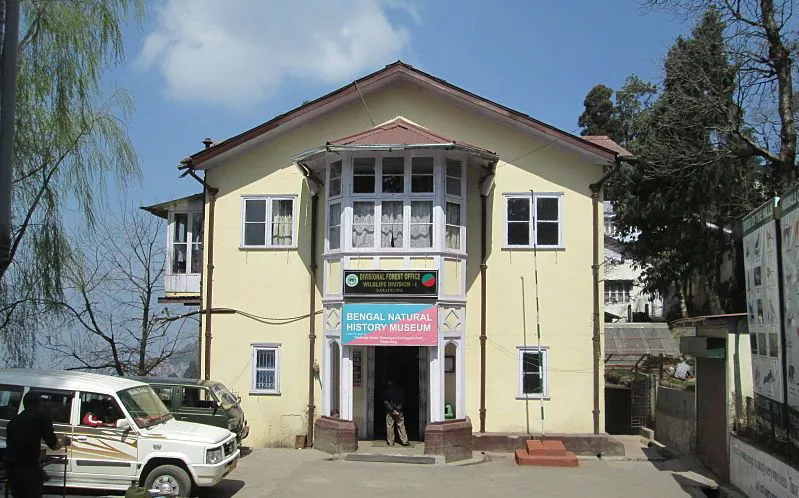 Visit the oldest Bengal Natural History Museum in Darjeeling