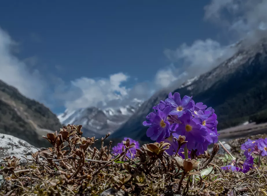 Lachung landscape during monsoons