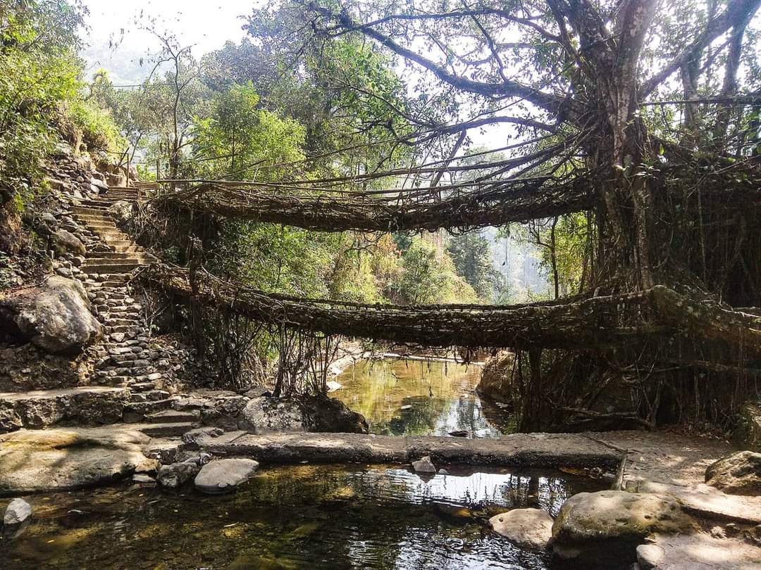 Trek to the living root bridges in Nongriat, Meghalaya