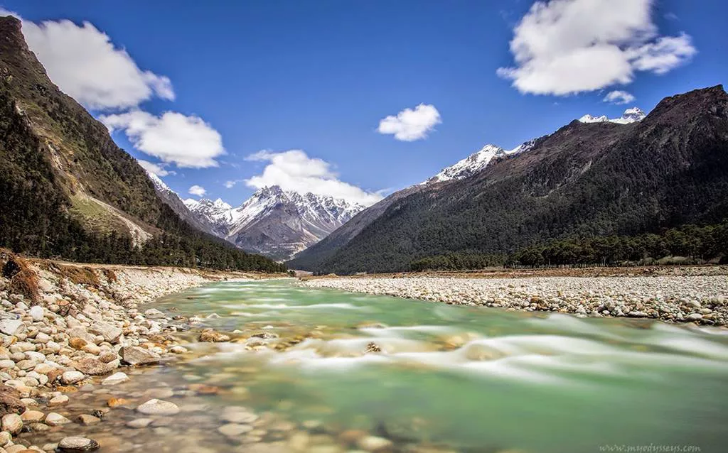 Yumthang Valley, Lachung: How To Reach, Best Time & Tips