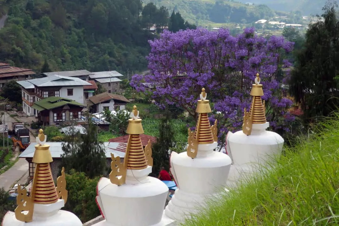 Rhododendron Festival in Assam