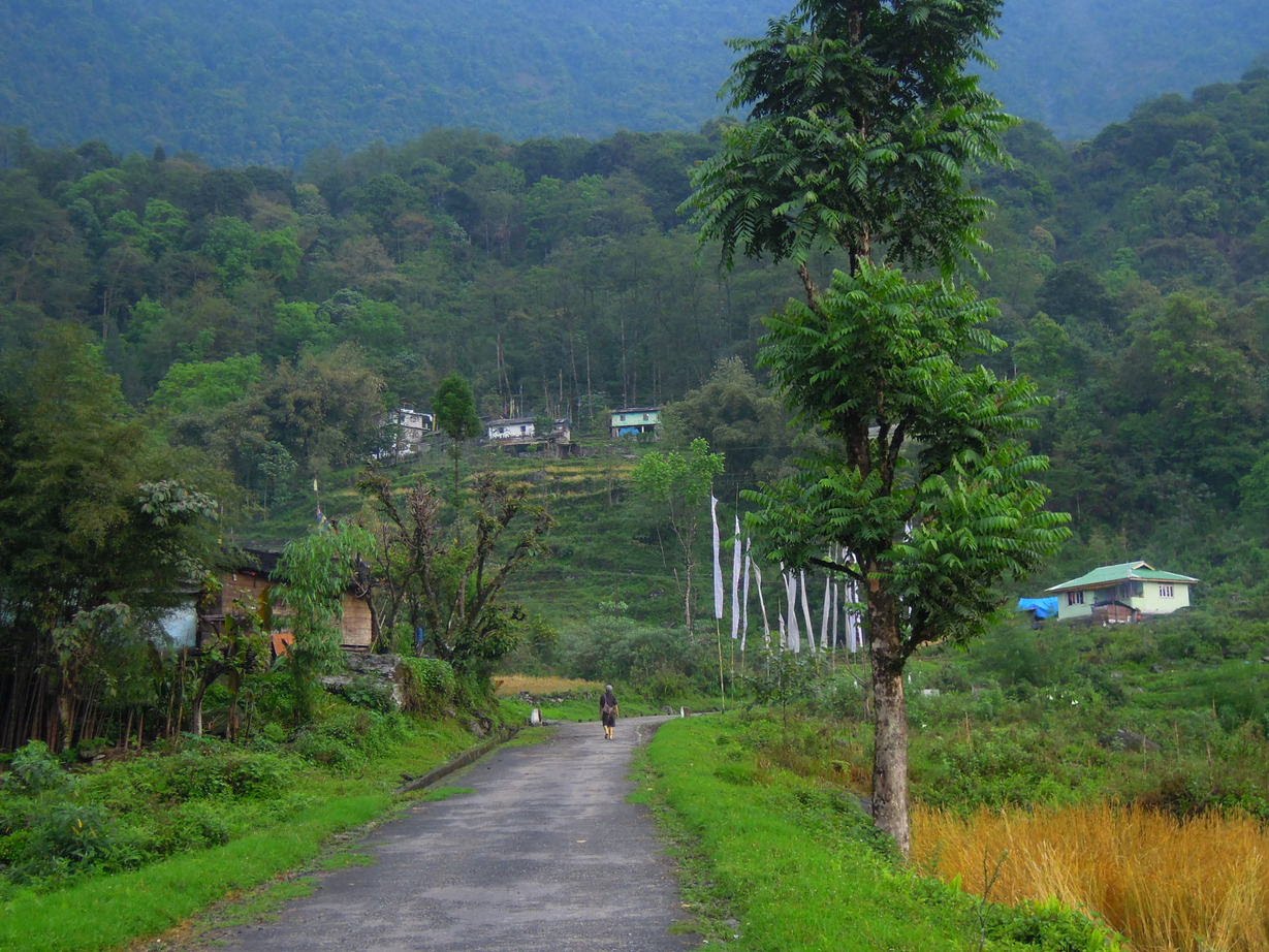 DZONGU – North Sikkim | RockyFeet